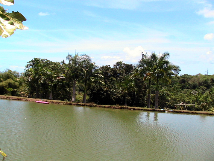 28 - Jardin des eaux 048.jpg